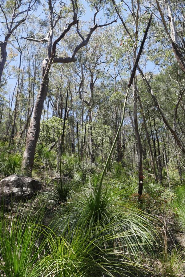True North - 4Br Home & Garden In Bush Setting With Huge Bath Bilpin Exterior foto